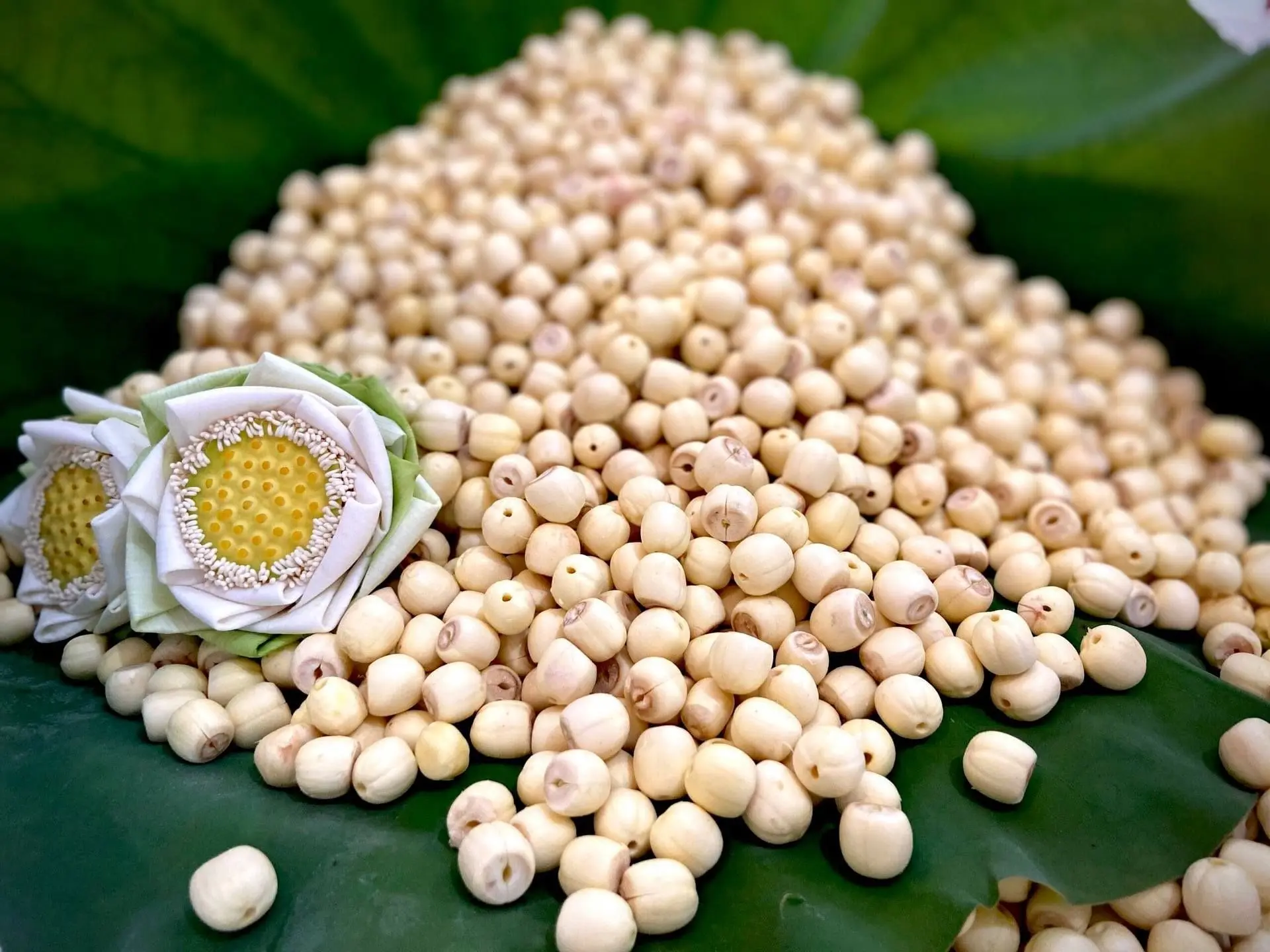 Xuất nhập khẩu tại chỗ