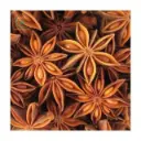 Vietnam Spring Harvest Star Anise · Vietnam