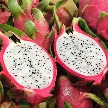 Fresh white dragon fruit