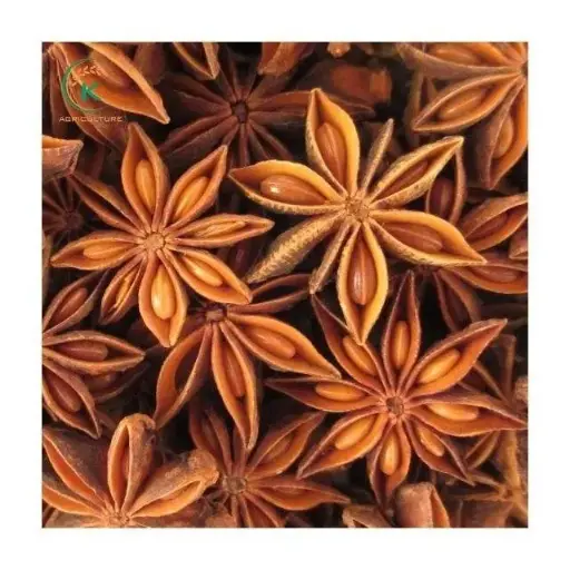 Vietnam Spring Harvest Star Anise · Vietnam
